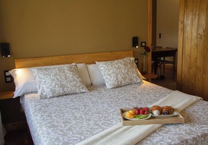 Rural apartment Mas Rovira for 4 people