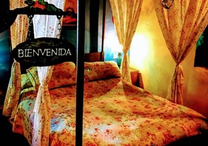 Tent ∙ 1 bedroom ∙ 2 guests