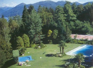 Eucalipto | Germignaga