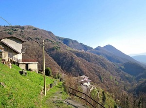Ginevra | Aurano