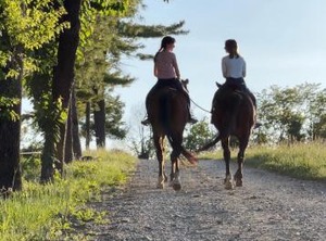 Tenuta Il Galletto B | Casale Monferrato