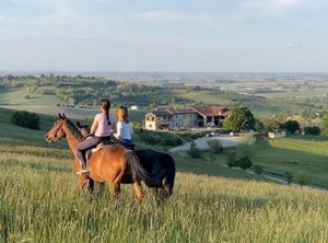 Tenuta Il Galletto B | Casale Monferrato