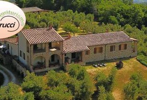 Colle Petrucci | Ciciano