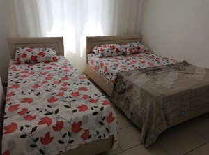Maya | Ayas