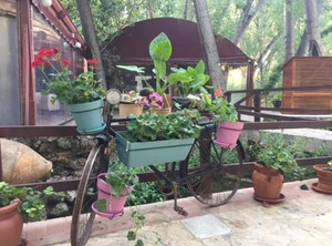 Molino Galán | Alborache