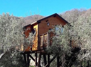 Palazzo Conforti Tree Resort | Marano Marchesato