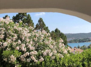 Porto Cervo | Liscia di Vacca