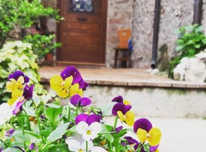 Rupe Antica | Artena