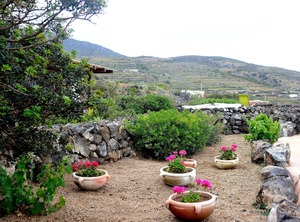 Pantelleria | Kamma