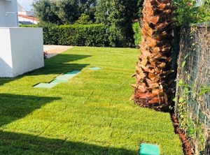 Villa Sul Mare Rosa Marina | Rosa Marina
