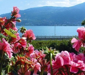 Verbania 