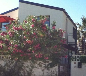 Casa Ursula 