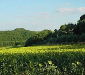 Podere Caldaruccio La Pineta People 