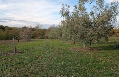Orvieto Resort | 160 m² Private room ∙ 1 bedroom ∙ 2 guests