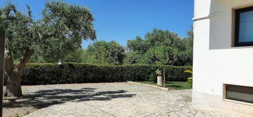 Alcanterini Bed & Breakfast | 20 m² Bed and breakfast ∙ 3 guests