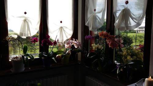 Cavour Bed & Breakfast | 20 m² Bed and breakfast ∙ 3 guests