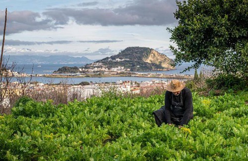 Monte di Procida Hotel | 23 m² Hotel ∙ 3 guests