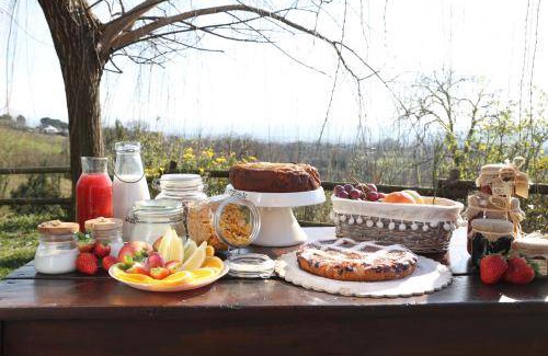 Faicchio Bed & Breakfast | 25 m² Bed and breakfast ∙ 4 guests