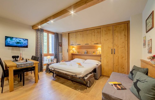 Pragelato Apartment | 28 m² Studio flat ∙ 2 guests