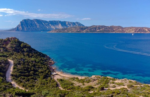 Capo Coda Cavallo Apartment | 35 m² Apartment ∙ 1 bedroom ∙ 4 guests