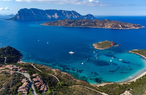 Capo Coda Cavallo Apartment | 35 m² Apartment ∙ 1 bedroom ∙ 4 guests