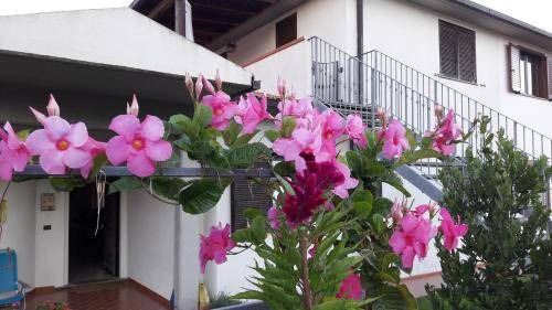 Pancole Apartment | 45 m² Apartment ∙ 2 bedrooms ∙ 4 guests