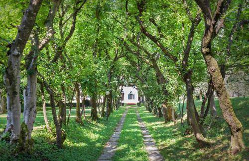 Peri Bed & Breakfast | 50 m² Bed and breakfast ∙ 4 guests