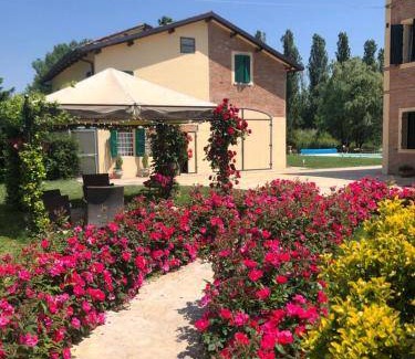 San Donnino Bed & Breakfast | 50 m² Bed and breakfast ∙ 4 guests