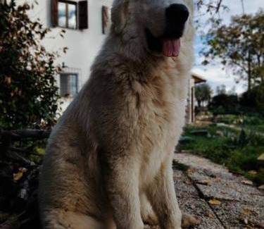 Fornole Bed & Breakfast | 55 m² Bed and breakfast ∙ 3 guests