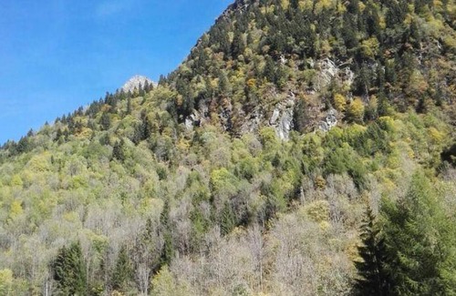 Alagna Valsesia Apartment | 60 m² Apartment ∙ 2 bedrooms ∙ 4 guests