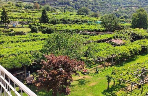 Carema Apartment | 60 m² Apartment ∙ 1 bedroom ∙ 5 guests