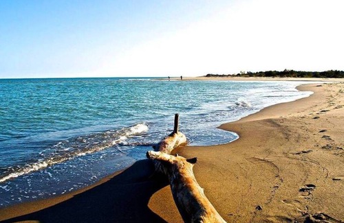 Marina di Pisticci Apartment | 70 m² Apartment ∙ 1 bedroom ∙ 6 guests