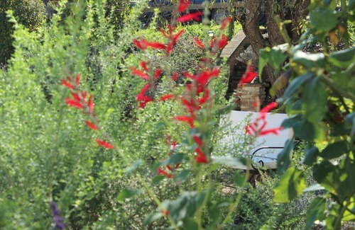 Montone Apartment | 70 m² Apartment ∙ 2 bedrooms ∙ 4 guests