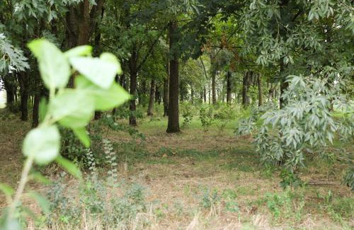 San Benedetto Po House | Agriturismo Casari