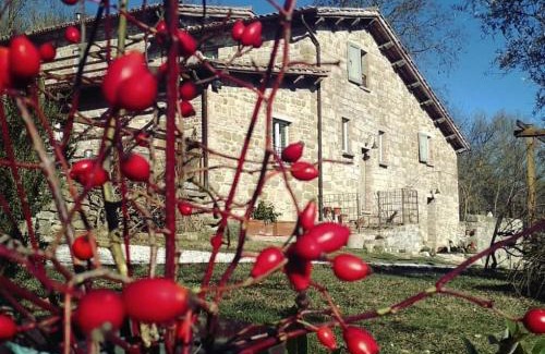 Monteluiano House | Agriturismo Montesalce