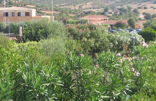 Osseddu Resort | apartment in 4 ^ star Resort located in a residential area in Olbia