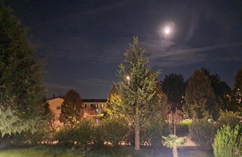 Rivoltella House | appartamento quadrifoglio