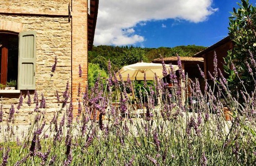 Casola Valsenio Bed & Breakfast | Bed and breakfast ∙ 4 guests