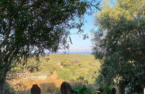 Olbia House | Binzolas