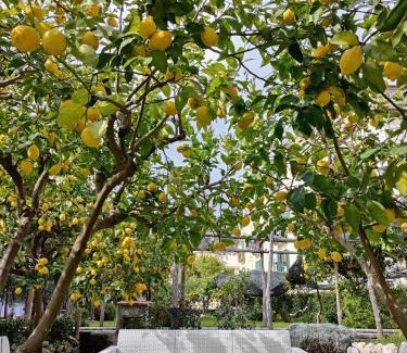 Minori Bed & Breakfast | Casa Amorino