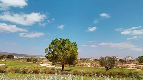 Jeronimo y Avileses y Balsicas de Arriba Apartment | Casa Atlantico 126-Murcia Holiday Rentals Property