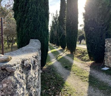 Zorita de los Canes House | Casa Rural con chimenea, piscina y vistas al río