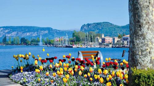Old Town Hotel | Hotel Alla Riviera