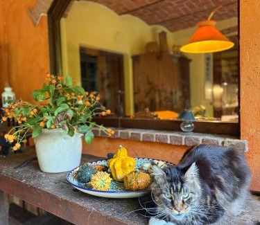Boves House | La casa Arancione