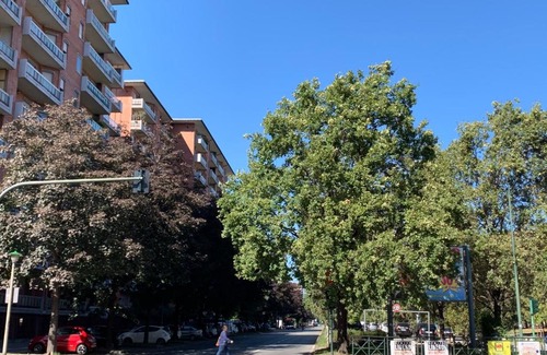Mirafiori Apartment | La Casa di Katy by Holiday World