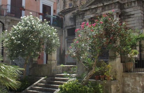 Modica House | La Casa Rosa
