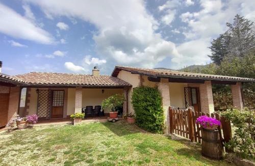 Montecchio Apartment | La Selvarella