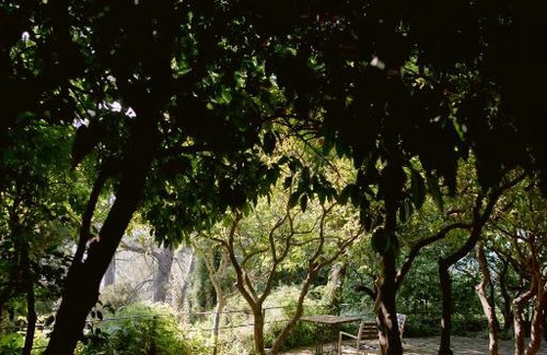 Xativa Hotel | Mont-Sant
