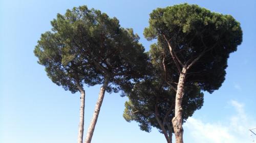 Testaccio Apartment | Piccolo Nido