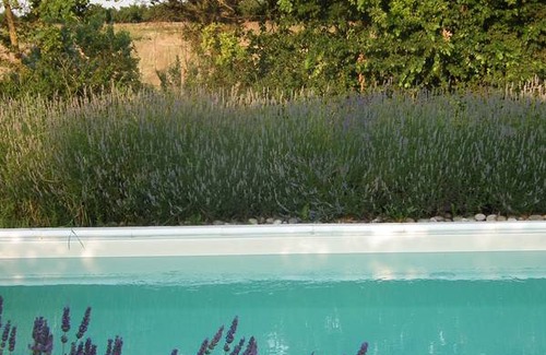 Cellarengo Resort | Private room ∙ 5 guests
